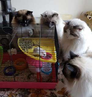 728709C0E70C99A5468102D46AC6C6C8.jpg