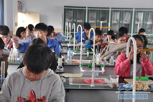 学生正在认真做实验