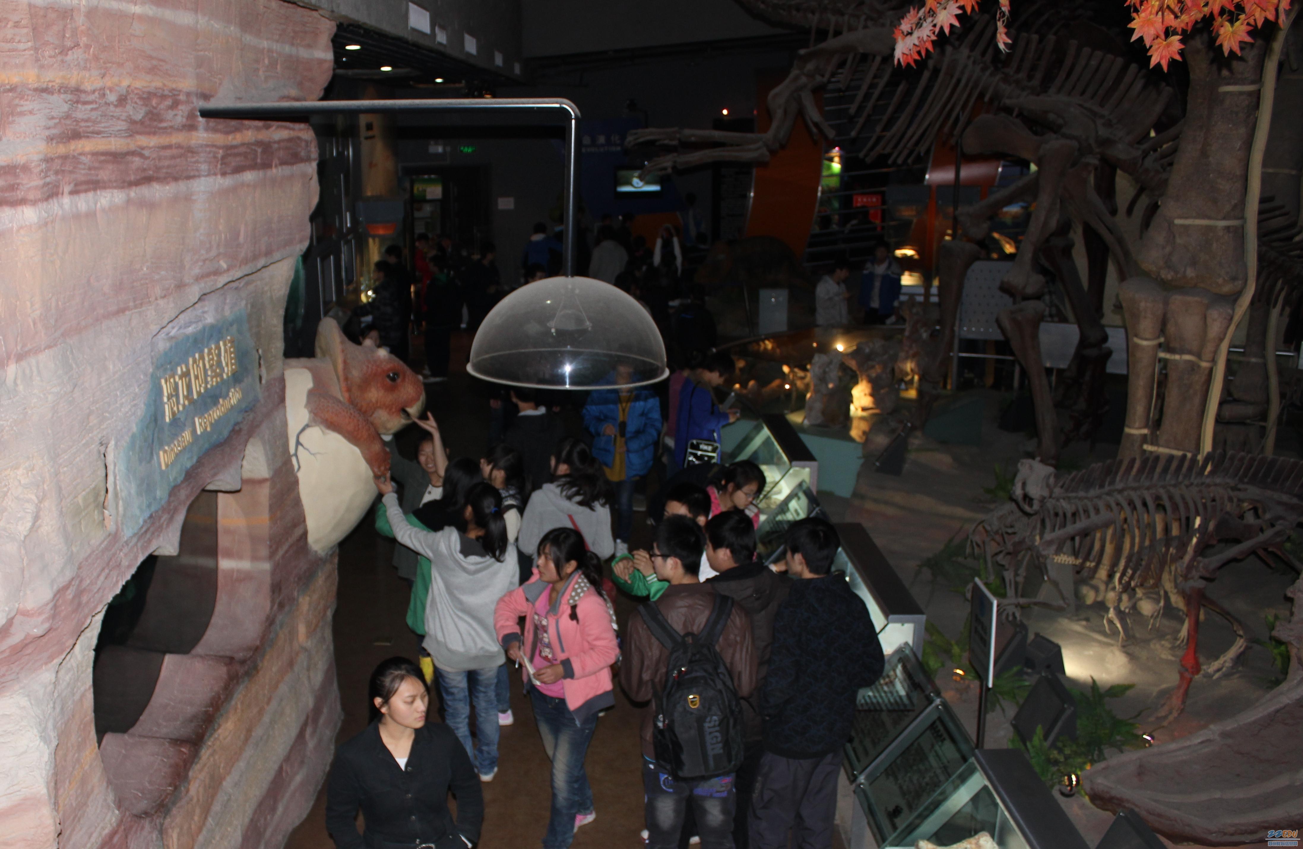 如何培养科学精神_如何培养科学精神作文_怎