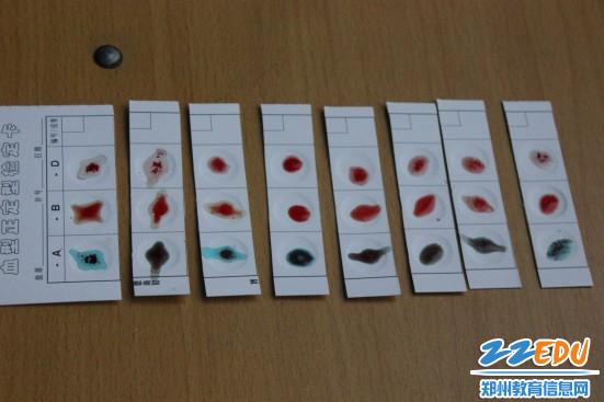 郑州二中校本课程免费给你测血型