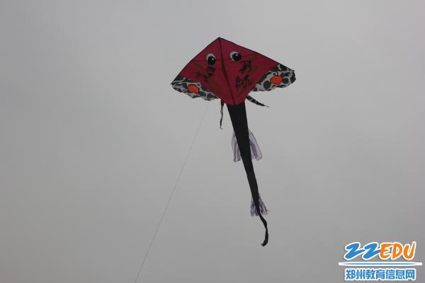点击查看原图