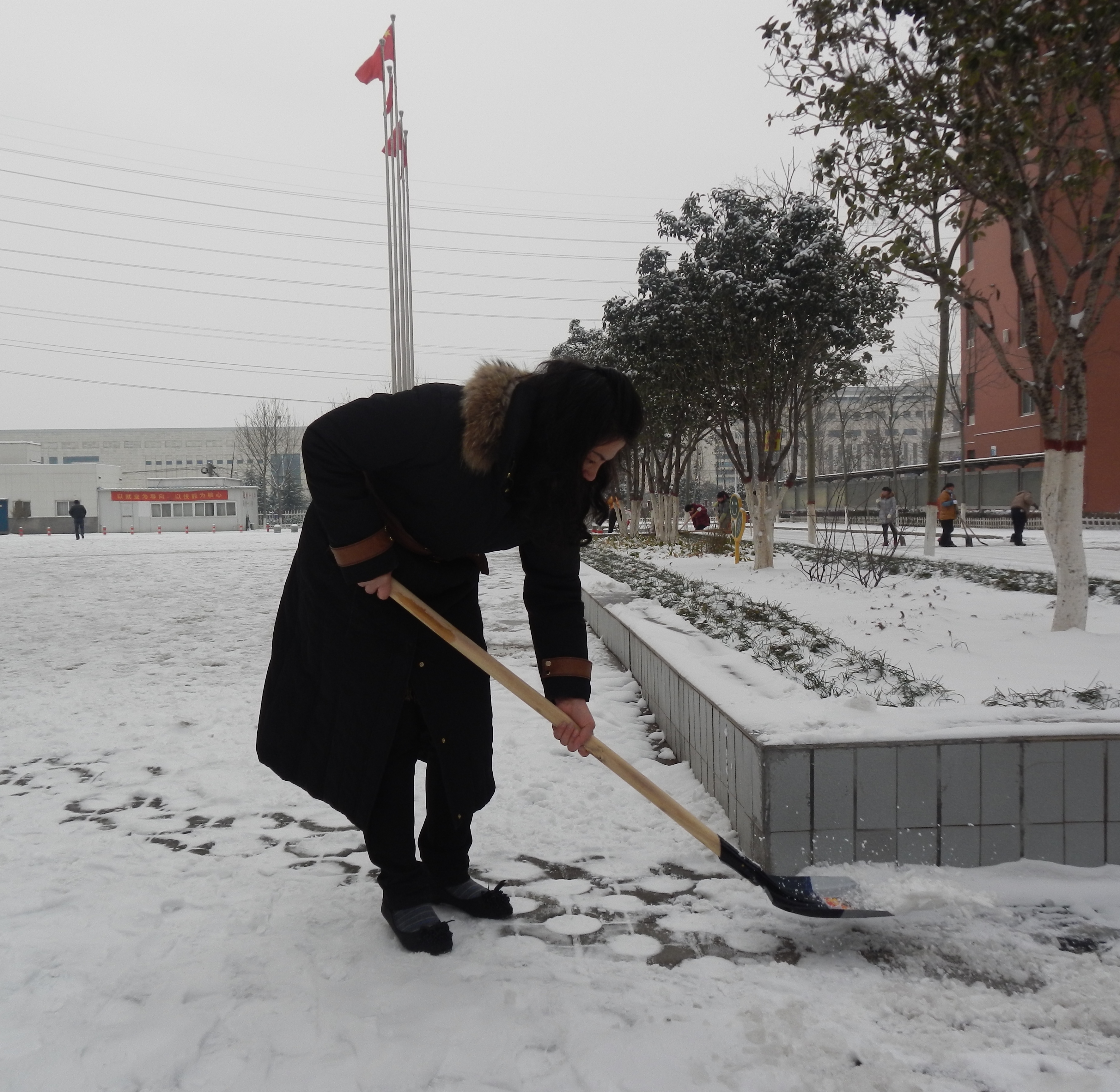 我市多校师生扫雪忙 消除隐患保安全