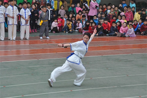 教育集团表演队的队员来到幼儿园,为孩子们进行了精彩的武术套路展示