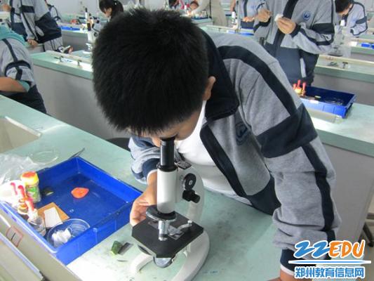 生物科技小发明 big356313A901A127E2477CC6A31B5D0818.jpg