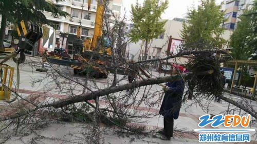 斩首行动让郑州五中校园安全隐患斩草除根