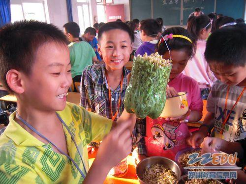[荥阳二小] 别开生面的--生豆芽三评活动