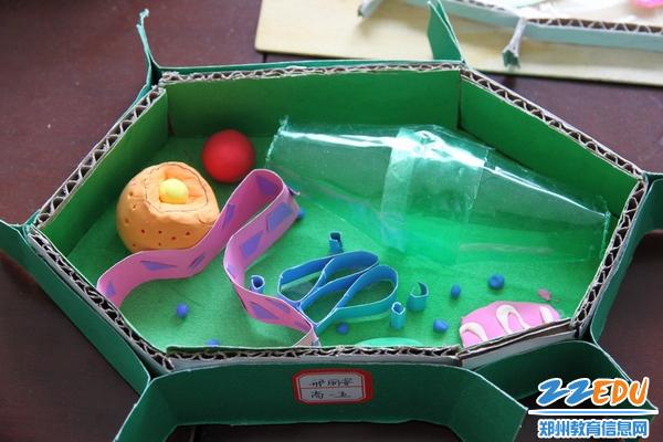 [19中] 高一年级举行生物细胞模型大赛 _ 校园网 _ 郑州教育信息网