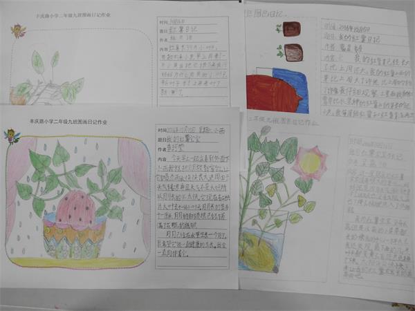 小学生种植日记