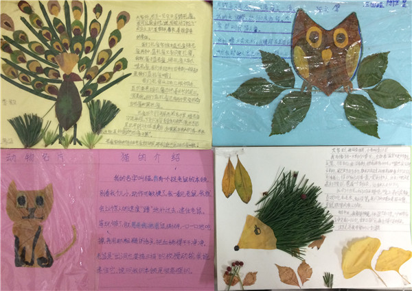 六年级同学采集树叶标本明明采集了108片,比花花多采集了35%,花花又比图片