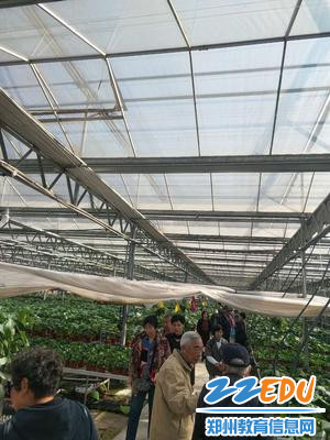 重阳节离退休老干部郊游