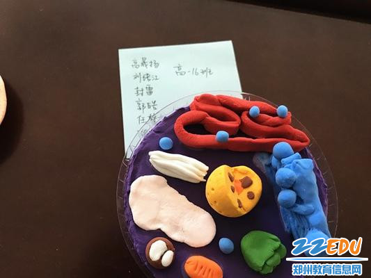 精彩微观,魅力律动—郑州19中举办真核细胞三维结构模型制作展