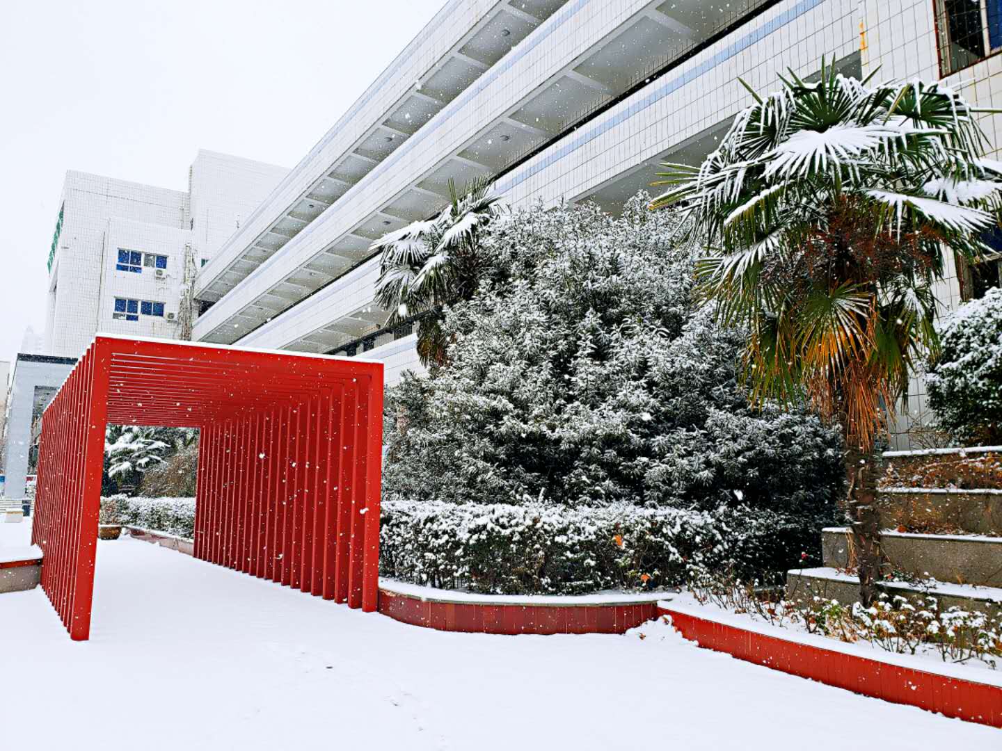 郑州市第102中学雪景3