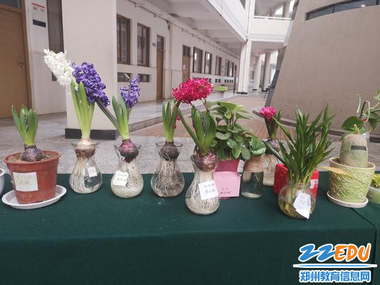 自然乐园中探奥秘 自然乐园中探奥秘