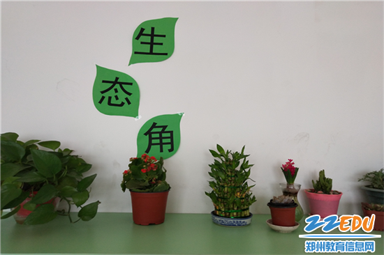 2绿意盎然的植物角 2绿意盎然的植物角