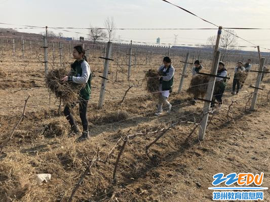 1.来到生态基地清理农田 1.来到生态基地清理农田