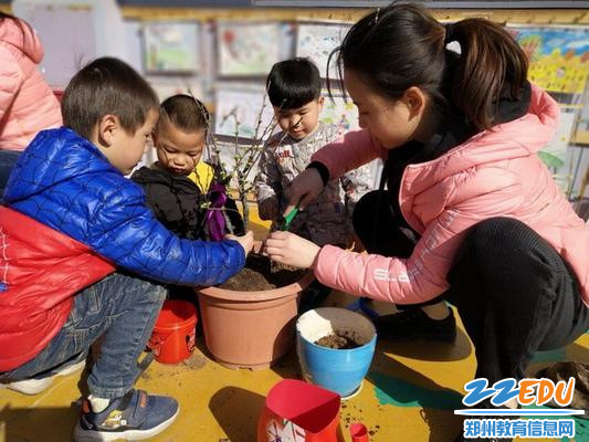 种下认养的小树_调整大小 种下认养的小树_调整大小