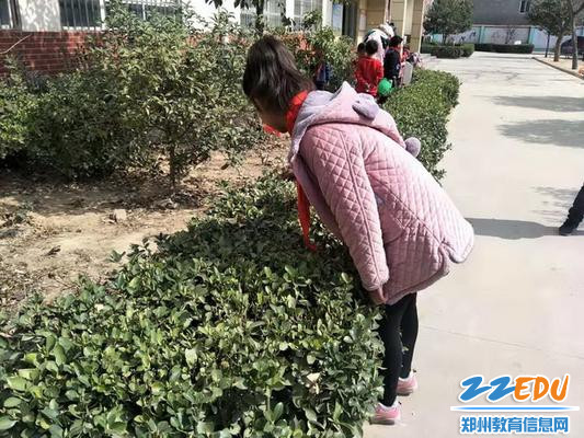 观察小树_调整大小 观察小树_调整大小