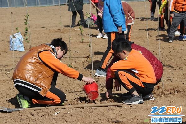 4为地球种下一棵小树(1) 4为地球种下一棵小树(1)