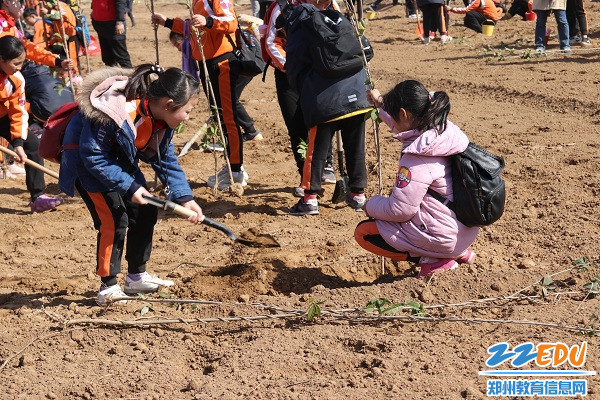 4为地球种下一棵小树(2) 4为地球种下一棵小树(2)