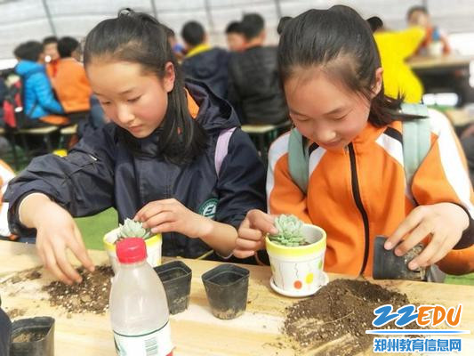 7小心翼翼移植多肉 7小心翼翼移植多肉