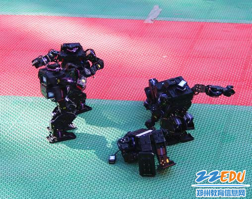 IMG_3766_副本 IMG_3766_副本