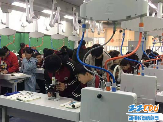 新设备吸引学生快乐学习 新设备吸引学生快乐学习