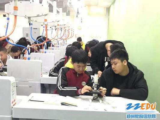 学生协同合作,积极实践 学生协同合作,积极实践