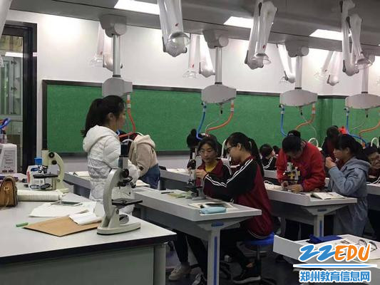 学生正在进行生物实验 学生正在进行生物实验