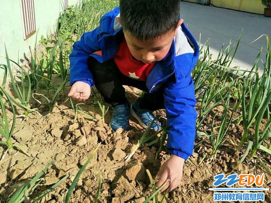 对待种子就像珍宝_调整大小 对待种子就像珍宝_调整大小