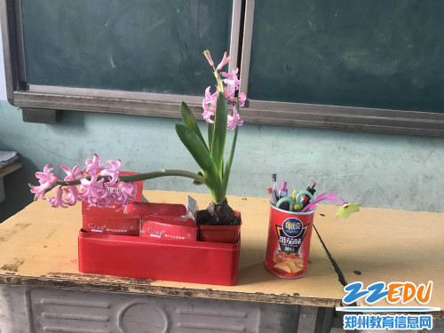 一一班的美丽绿植02 一一班的美丽绿植02