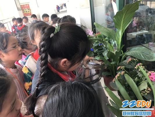 2019032655292005 2019032655292005