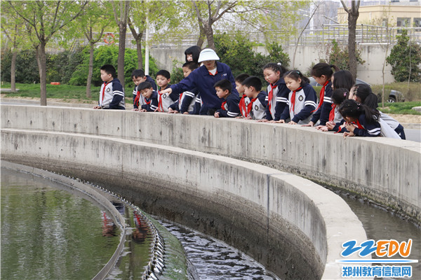 4.参观污水处理池 4.参观污水处理池