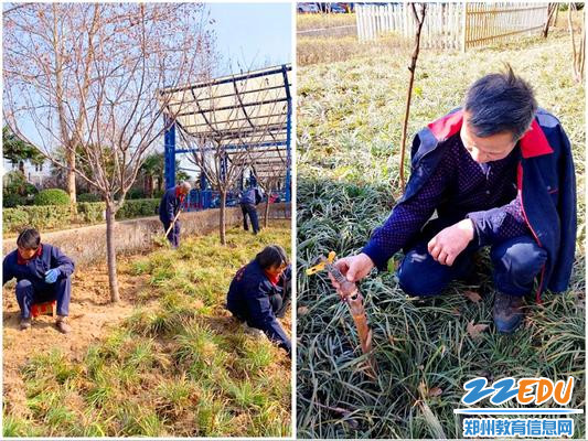 查缺补漏 情传绿植 查缺补漏 情传绿植