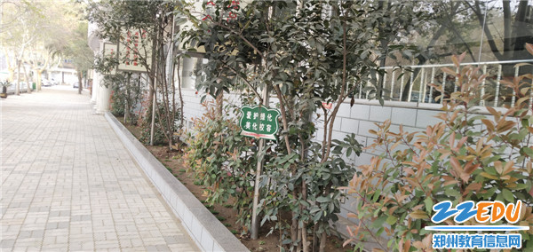 2.学校物业部门工人师傅移栽的花木 2.学校物业部门工人师傅移栽的花木