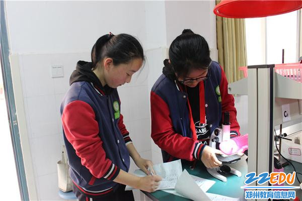 裁判员打分 裁判员打分