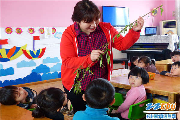 画柳、插柳活动 画柳、插柳活动