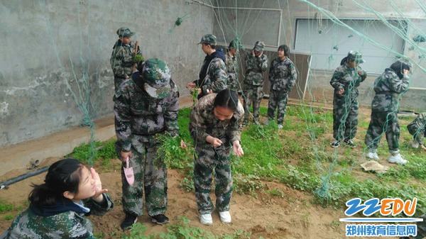 农业实践基地_副本 农业实践基地_副本