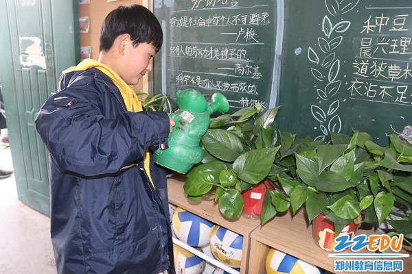 10养护绿植 10养护绿植