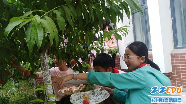 看呐,快摘了_副本 看呐,快摘了_副本