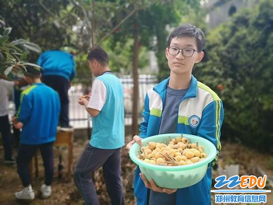 【107中】喜迎枇杷丰收 共享文明硕果 【107中】喜迎枇杷丰收 共享文明硕果