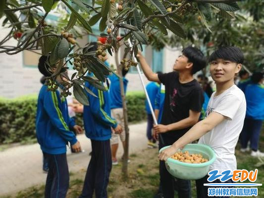 同学们分工协作齐上阵 同学们分工协作齐上阵