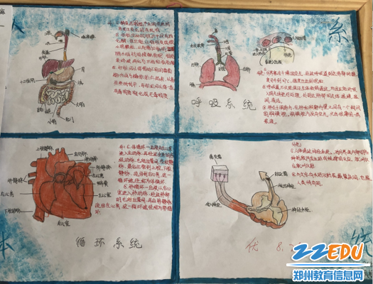 学习,从了解自己开始 学习,从了解自己开始