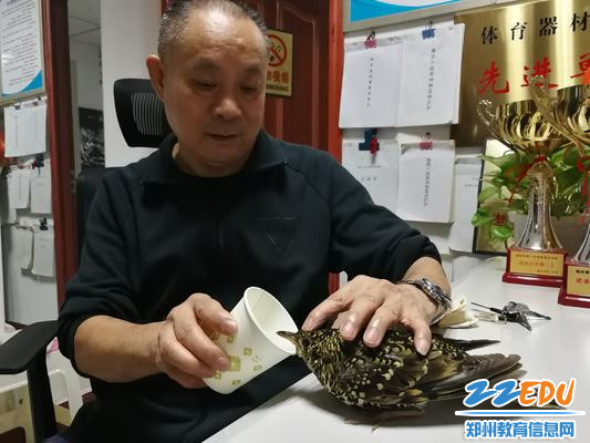 3.胡春喜老师在为虎斑地鸫喂温水 - 副本 3.胡春喜老师在为虎斑地鸫喂温水 - 副本