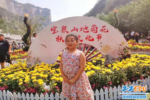 3重阳赏菊 3重阳赏菊