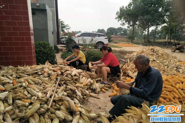 7帮老人干活 7帮老人干活