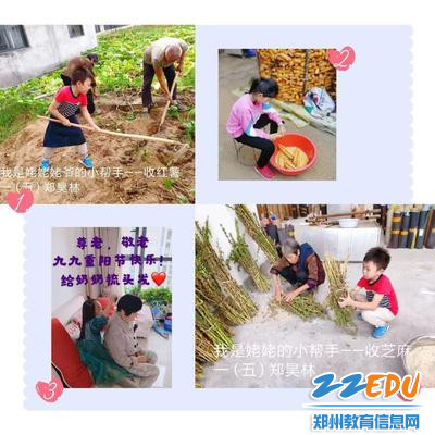 我回老家帮爷爷奶奶做农活 我回老家帮爷爷奶奶做农活