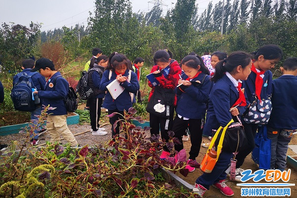 认真做好笔记 认真做好笔记