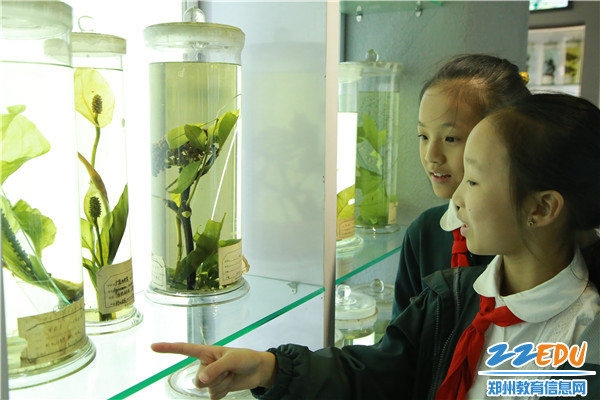 孩子们观察中草药植物标本 孩子们观察中草药植物标本
