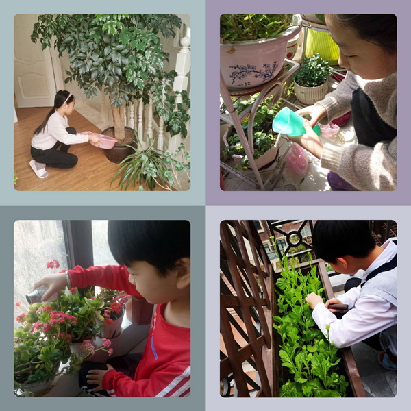 栽种一抹绿 奉献一颗心 惠济区中小学开展植树节主题活动