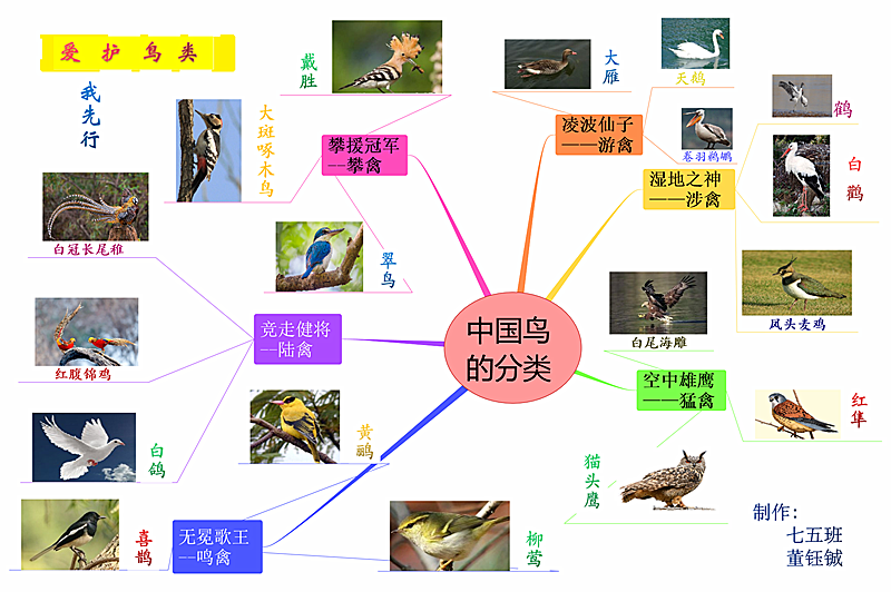 4月21日——4月27日是河南省爱鸟周,为了更好地普及鸟类知识,提高大家